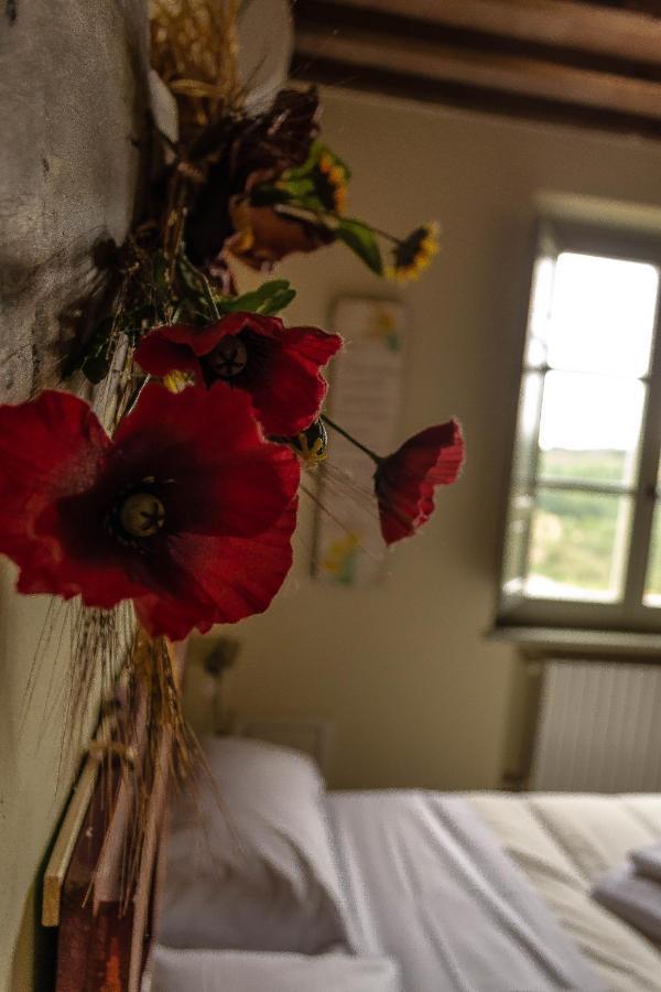 Agriturismo L'Olmo 산지미냐노 외부 사진