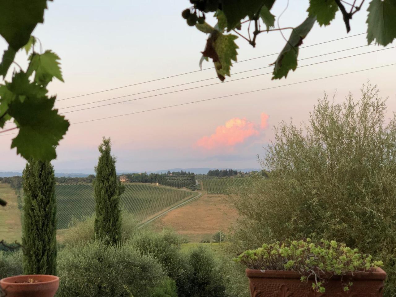 Agriturismo L'Olmo 산지미냐노 외부 사진