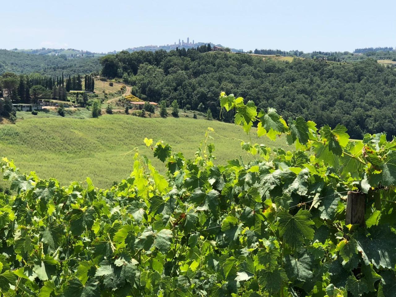Agriturismo L'Olmo 산지미냐노 외부 사진