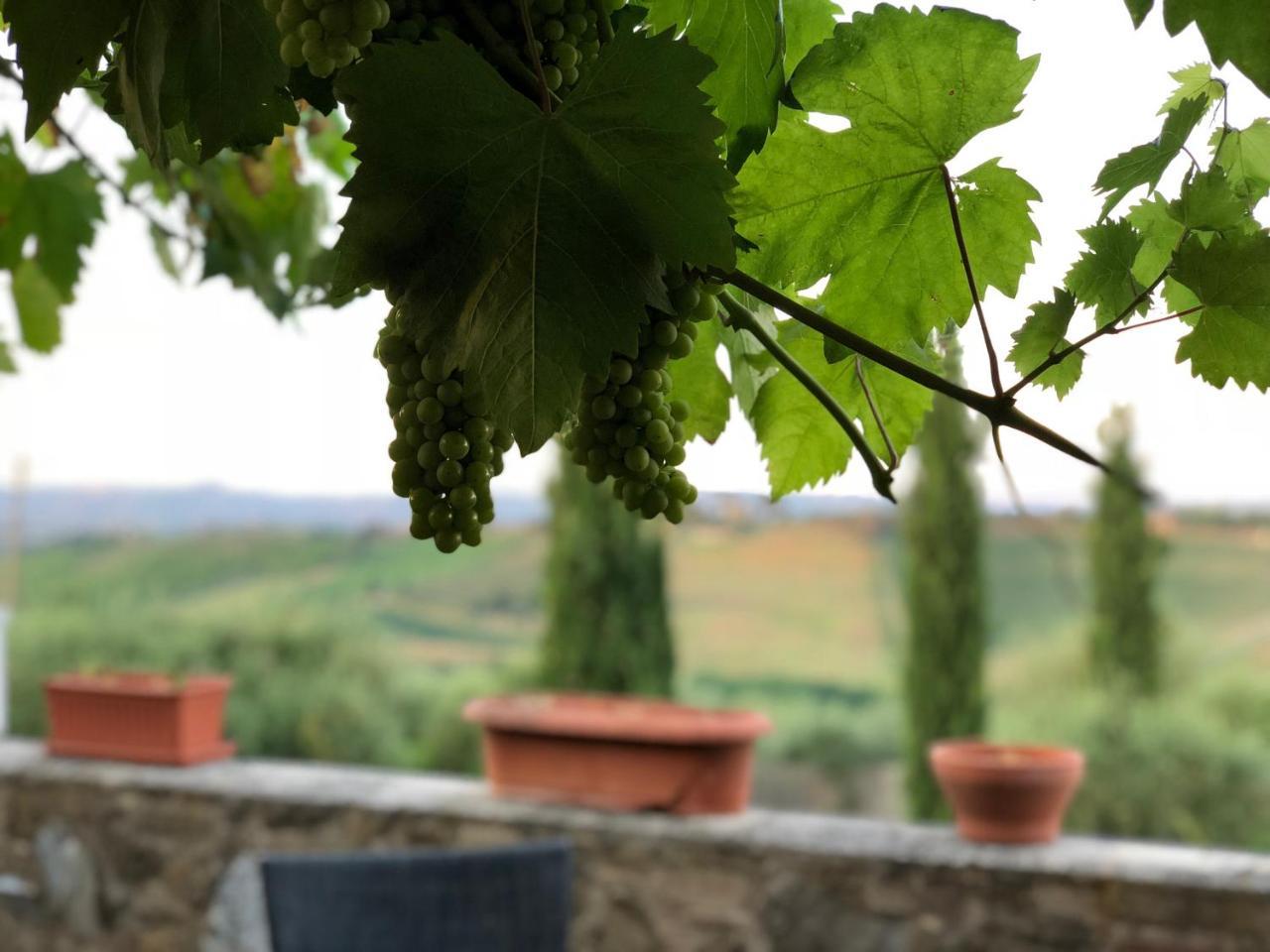 Agriturismo L'Olmo 산지미냐노 외부 사진