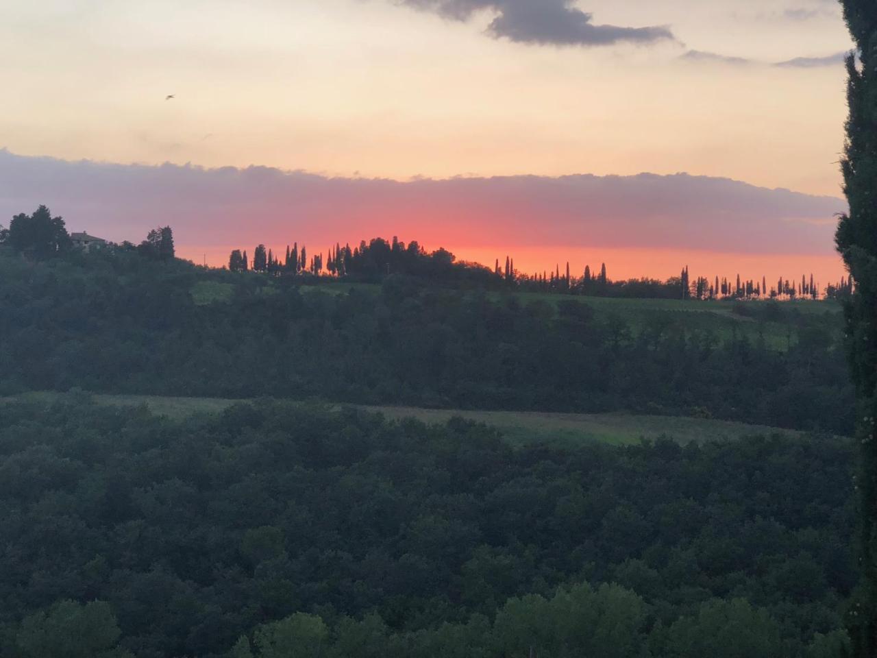 Agriturismo L'Olmo 산지미냐노 외부 사진