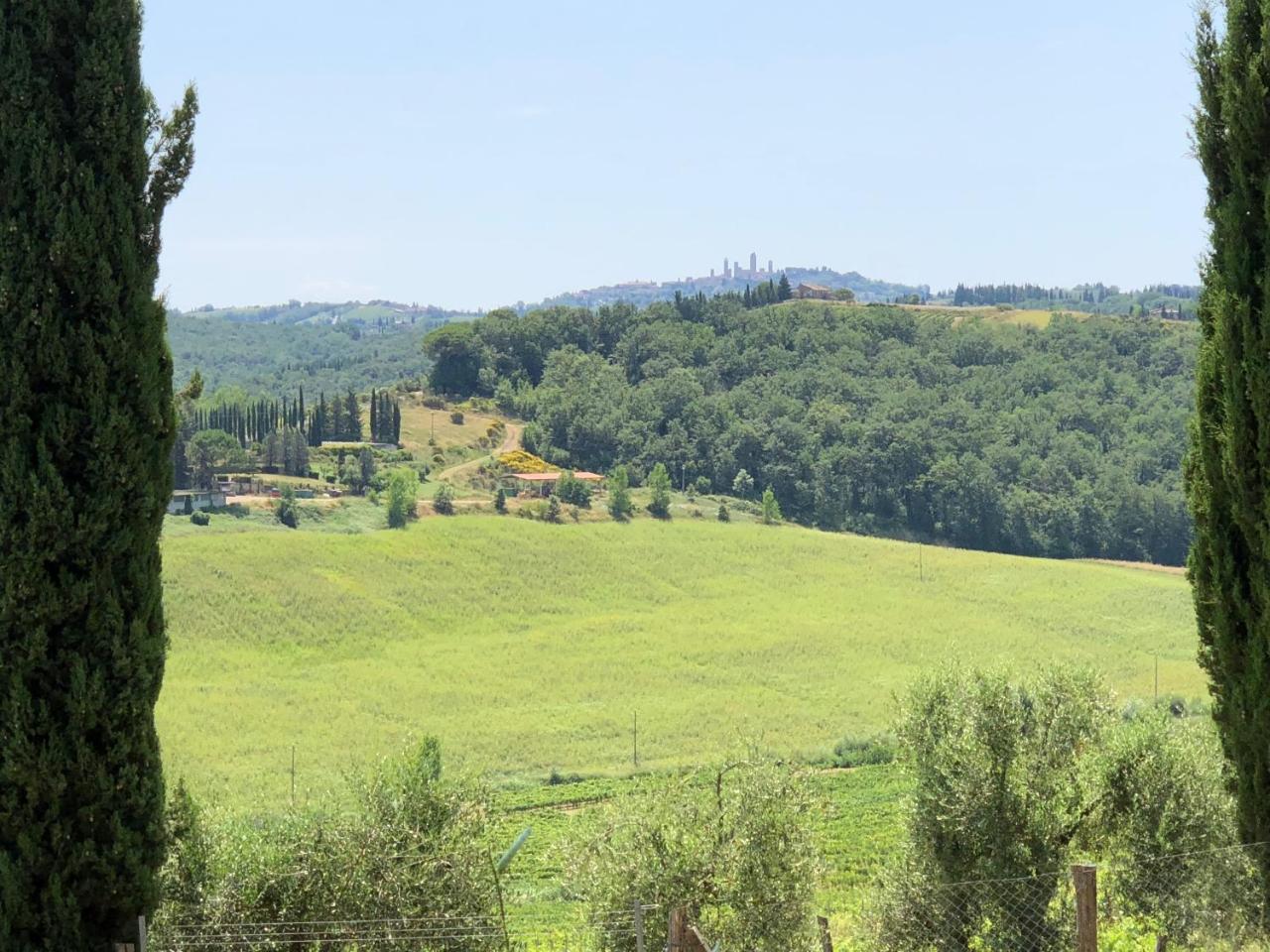 Agriturismo L'Olmo 산지미냐노 외부 사진