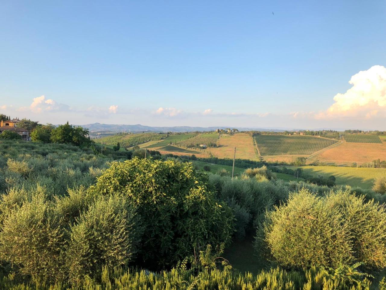 Agriturismo L'Olmo 산지미냐노 외부 사진